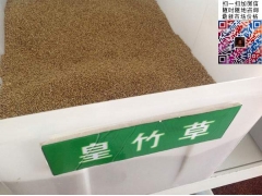 買皇竹草多少錢一斤合算？