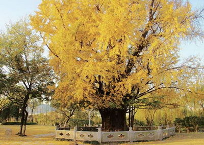 點(diǎn)擊圖片進(jìn)入下一頁(yè)