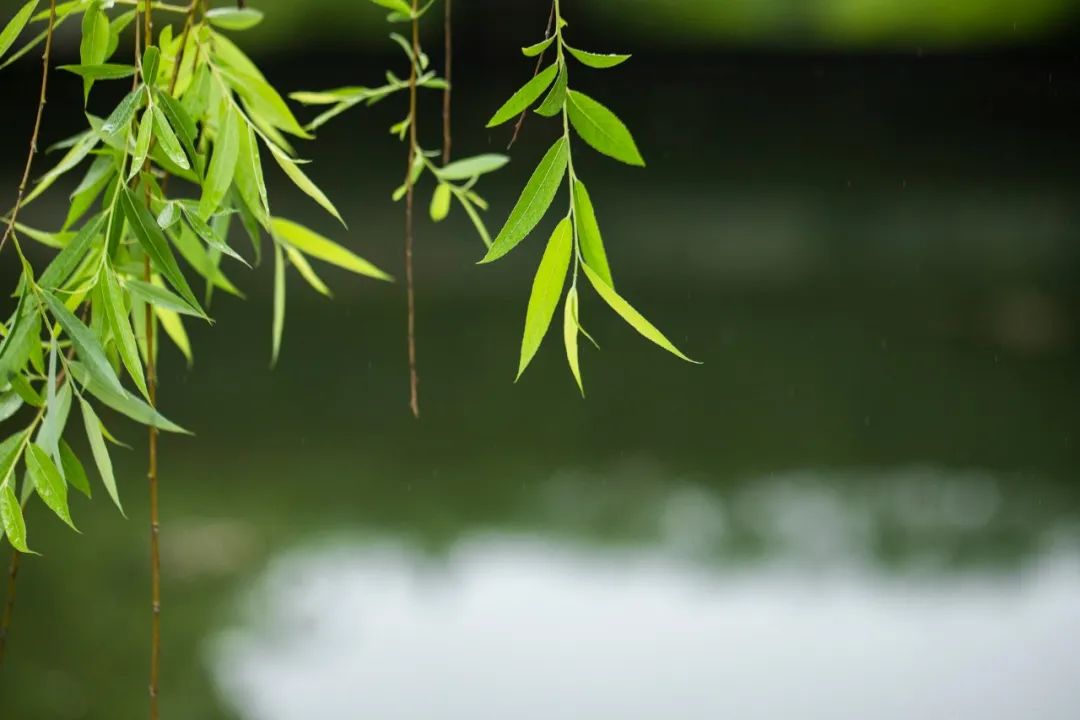 1673274127263996.jpg 微信圖片_20230102170421.jpg
